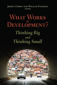 Image of What works in development?: thingking big and thingking small