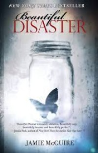 Image of Beautiful Disaster